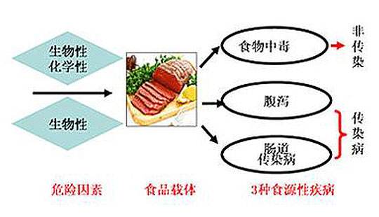 食源性疾病