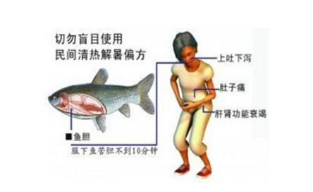 鱼胆中毒