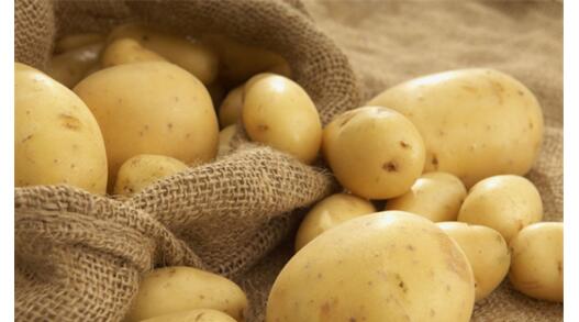 食品安全知识，如何防止土豆长芽