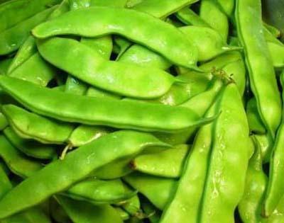 北京疾控提醒严防扁豆加工不当中毒